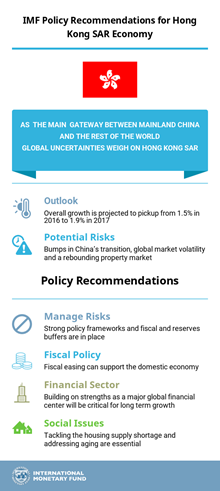 HK Article IV report infographic