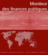  Moniteur des finances publiques 