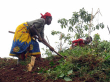 Burundi's Debt Relief Savings to Go to Food, Health, Schools