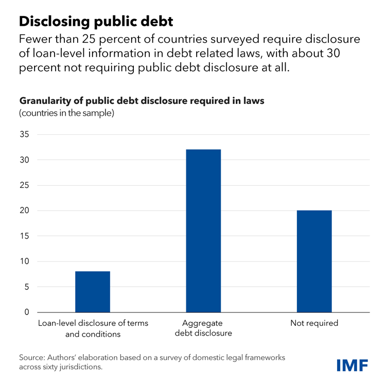 Disclosing public debt