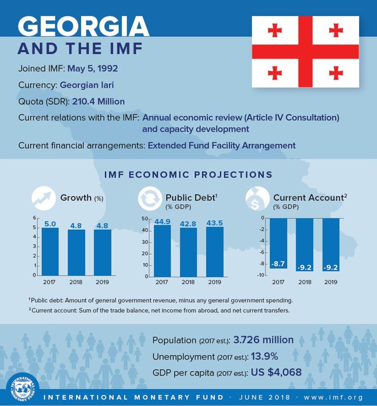 Georgia Infographic