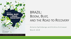 Brazil: Boom, Bust, and the Road to Recovery; by Antonio Spilimbergo and Krishna Srinivasan, IMF; March 2019