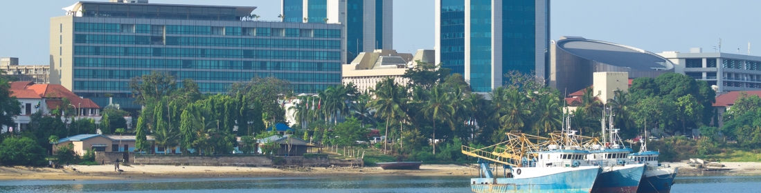 City view of Dar Es Salaam (photo: iStock)