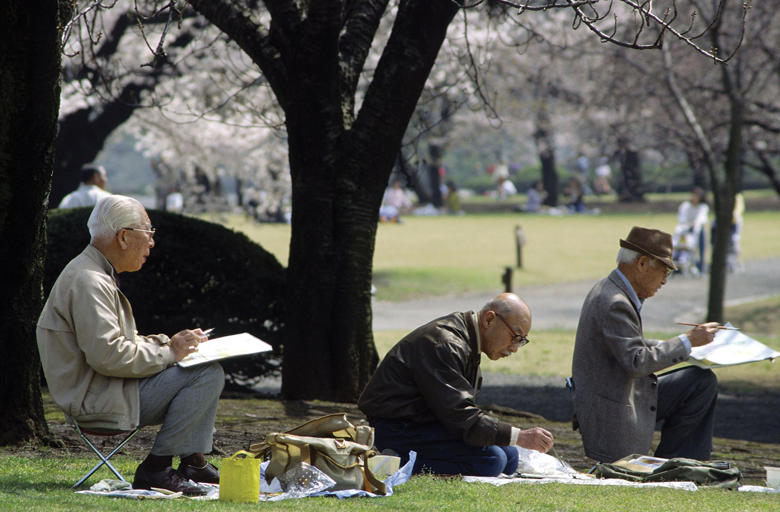 Kết hôn muộn là một trong những nguyên nhân chính của tình trạng già hoá dân số Nhật Bản