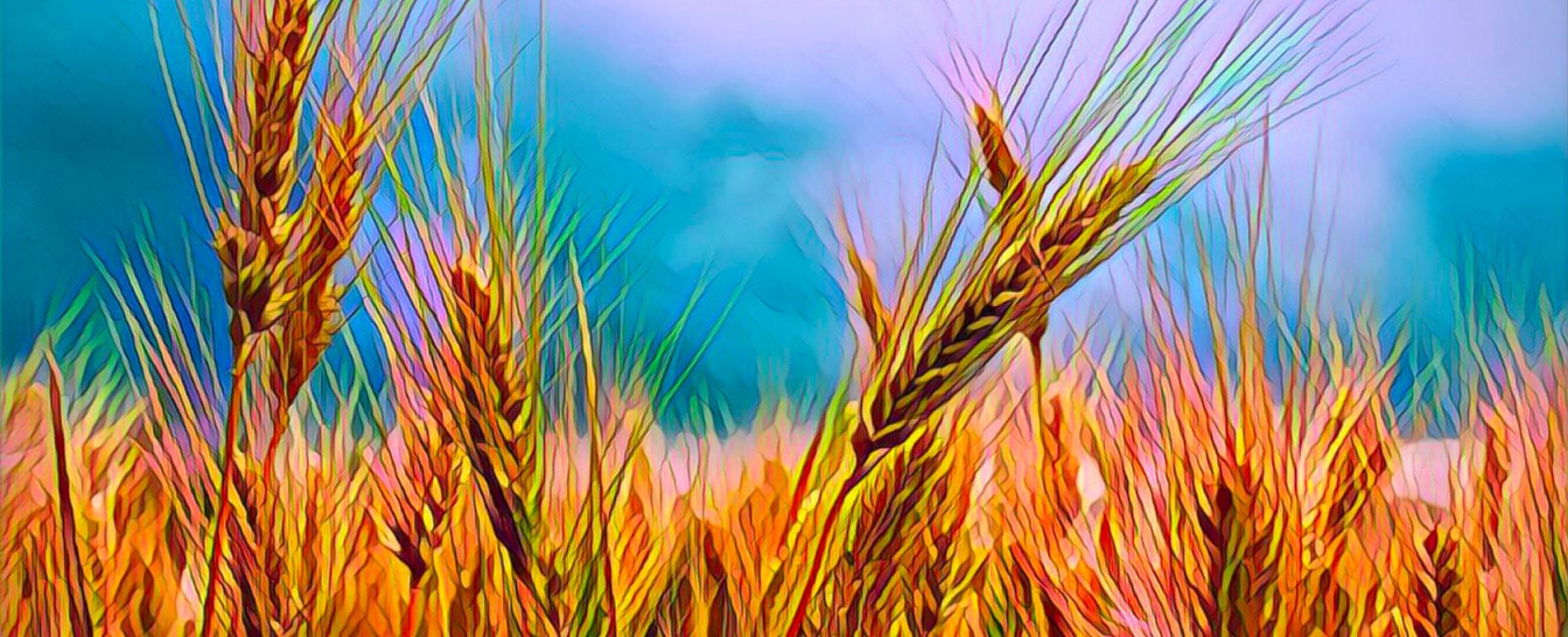 Oceans of Grain: How American Wheat Remade the World, Scott Reynolds Nelson