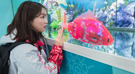Jovem observa peixes robóticos em Gangneung, na Coreia do Sul. A difusão de conhecimento e tecnologia entre os países se intensificou em virtude da globalização (foto: Richard Ellis/UPI/Newscom).