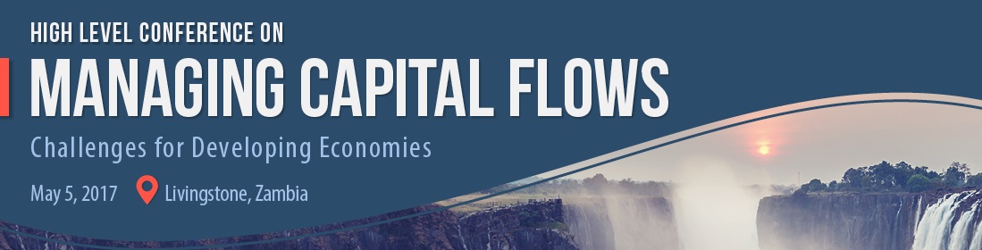 Managing Capital Flows image