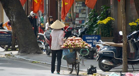 Man wearing hat, carrying fruit for sale on his bicycle in the old quarter of Hanoi (photo: istock/gionnixxx)