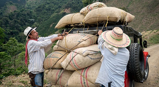 Colombian men transporting sacks of coffee. Lower levels of human capital and productivity are holding back Latin America’s growth. (photo: andresr/iStock by Getty Images)