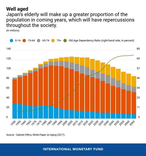 Demographic Shifts: Navigating Economic Effects