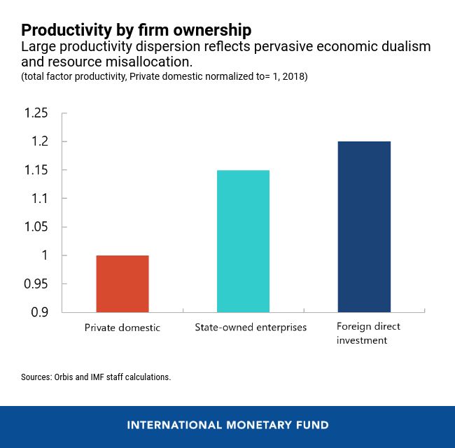IMF: Những cải cách quyết định giúp Việt Nam tận dụng tối đa tiềm năng tăng trưởng và lợi ích khi gia nhập chuỗi giá trị toàn cầu - Ảnh 5.