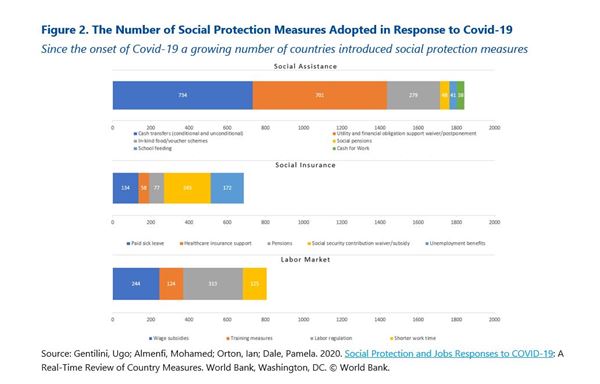 The Number of Social Protection Measures Adopted in Response to Covid-19