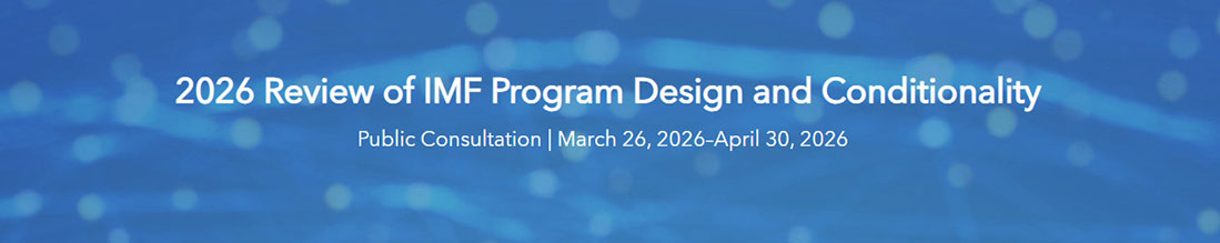 cso-public-consult-program-design-032026