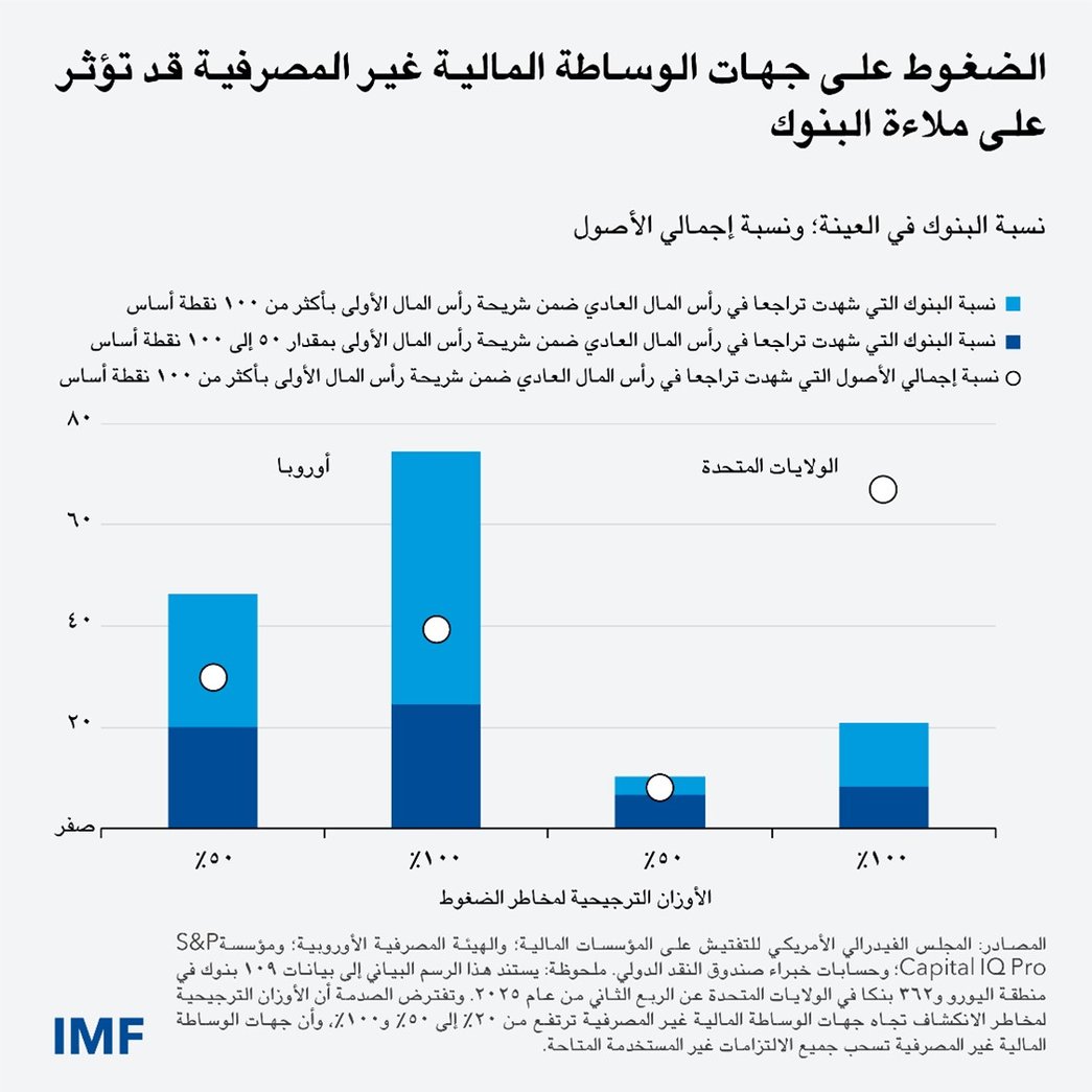 تزايد مخاطر المؤسسات غير المصرفية وسحبها لجميع خطوطها الائتمانية من البنوك