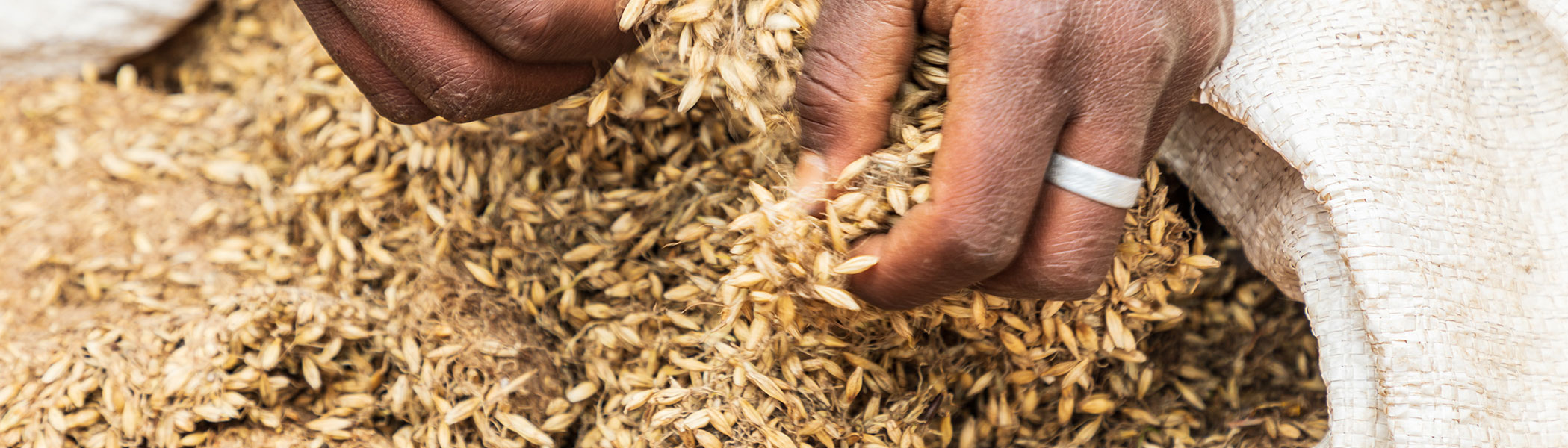 Africa Food Prices Are Soaring Amid High Import Reliance