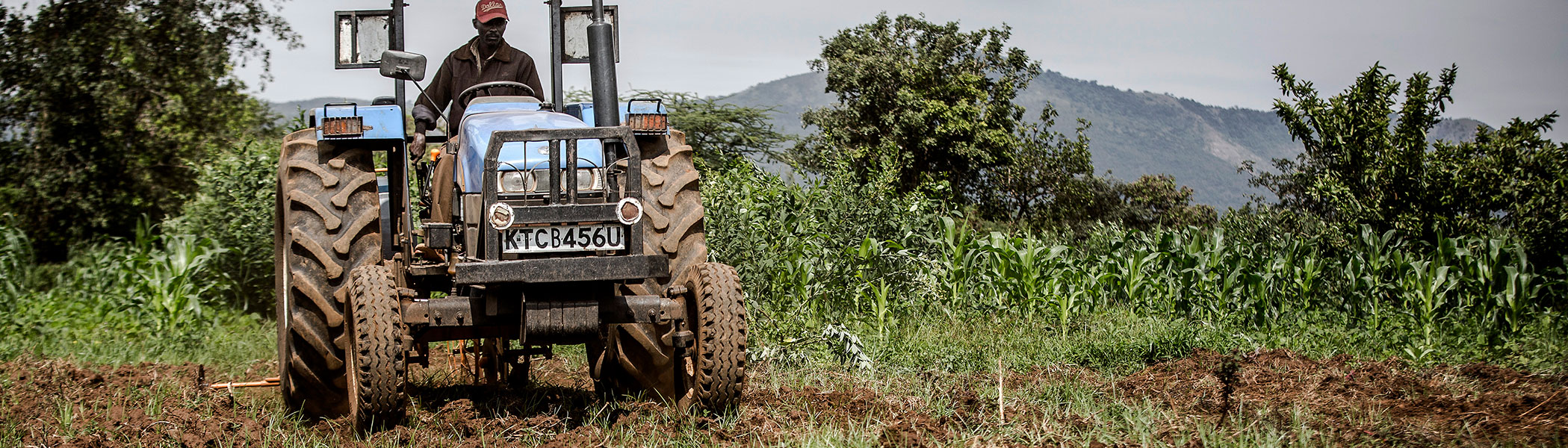 Global Food Prices to Remain Elevated Amid War, Costly Energy, La Niña