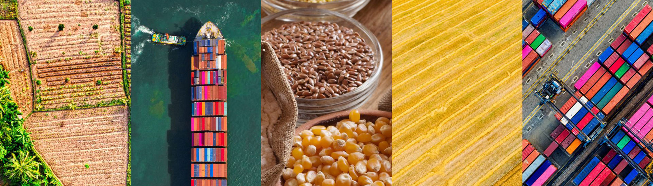 Global Food Crisis Demands Support for People, Open Trade, Bigger Local Harvests