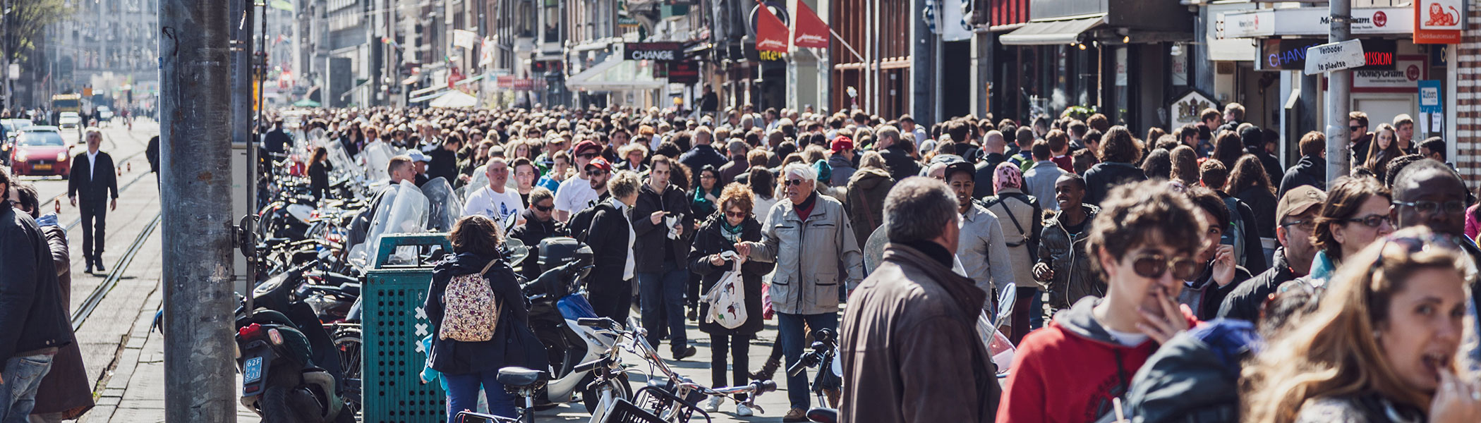 The Unfinished Business of International Business Tax Reform