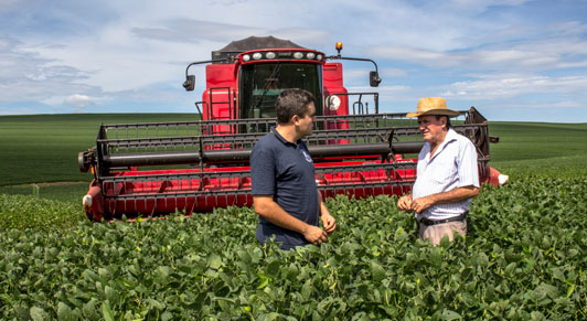 El gráfico de la semana: El impacto del comercio internacional en las industrias brasileñas