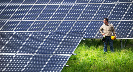 Qué pueden hacer los gobiernos para crear una recuperación mundial verde y generadora de empleo