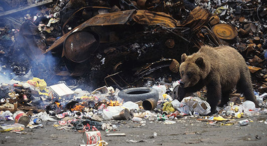 Desperdicios por doquier