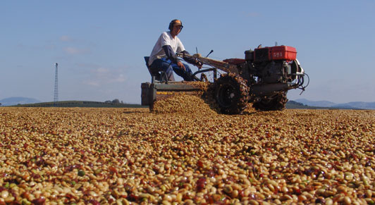 El reto que plantea la moderación de los precios de las materias primas en América Latina