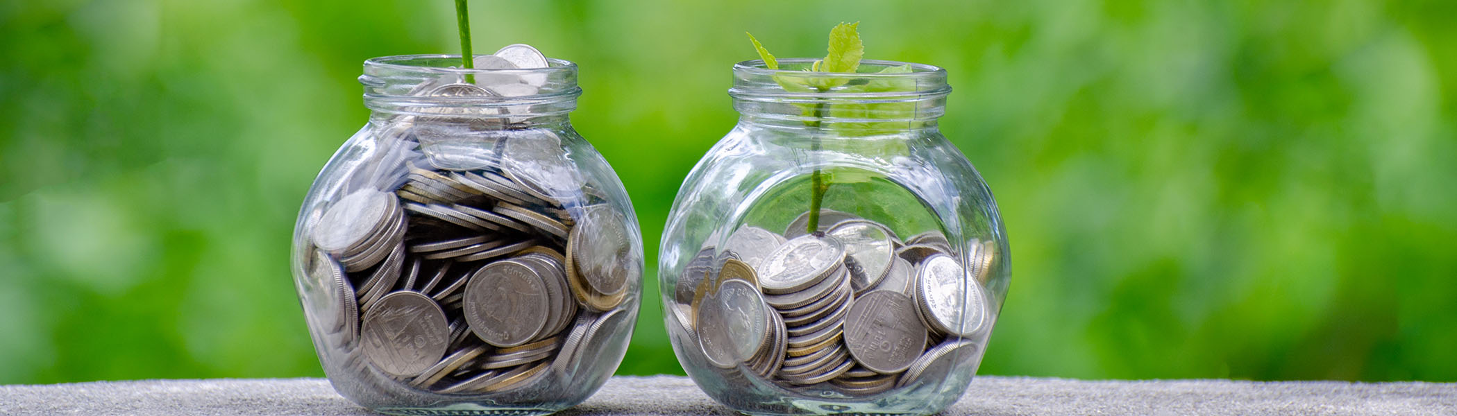 A COVID-19 Recovery Contribution