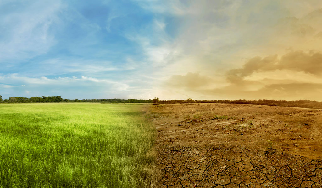 The Unequal Burden of Rising Temperatures: How Can Low-Income Countries Cope?