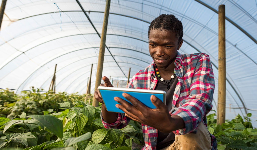 Sub-Saharan Africa: Diversifying for Tomorrow