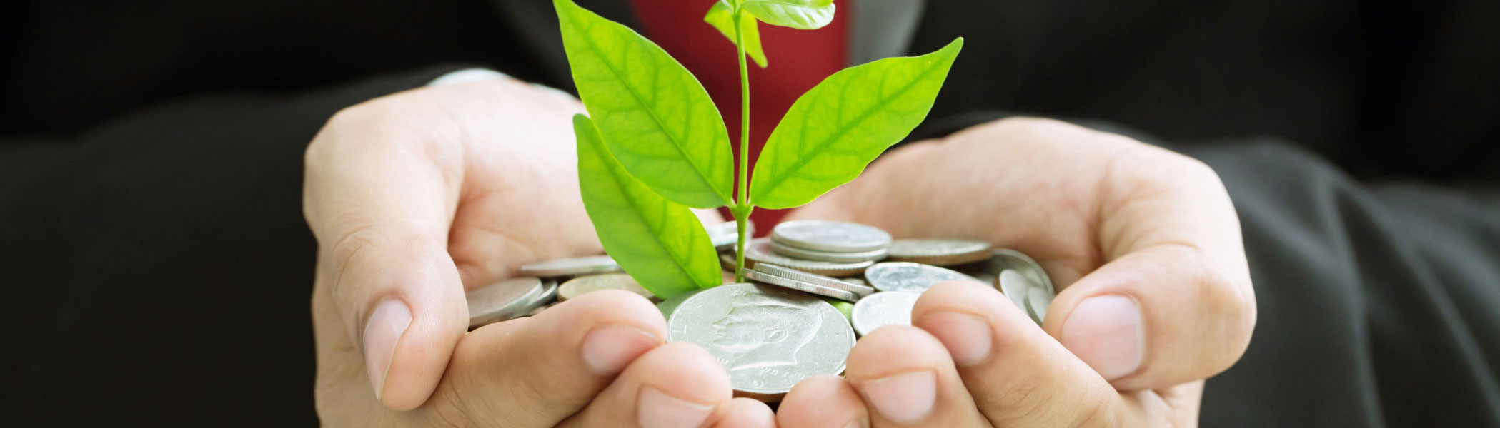 A Role for Financial and Monetary Policies in Climate Change Mitigation