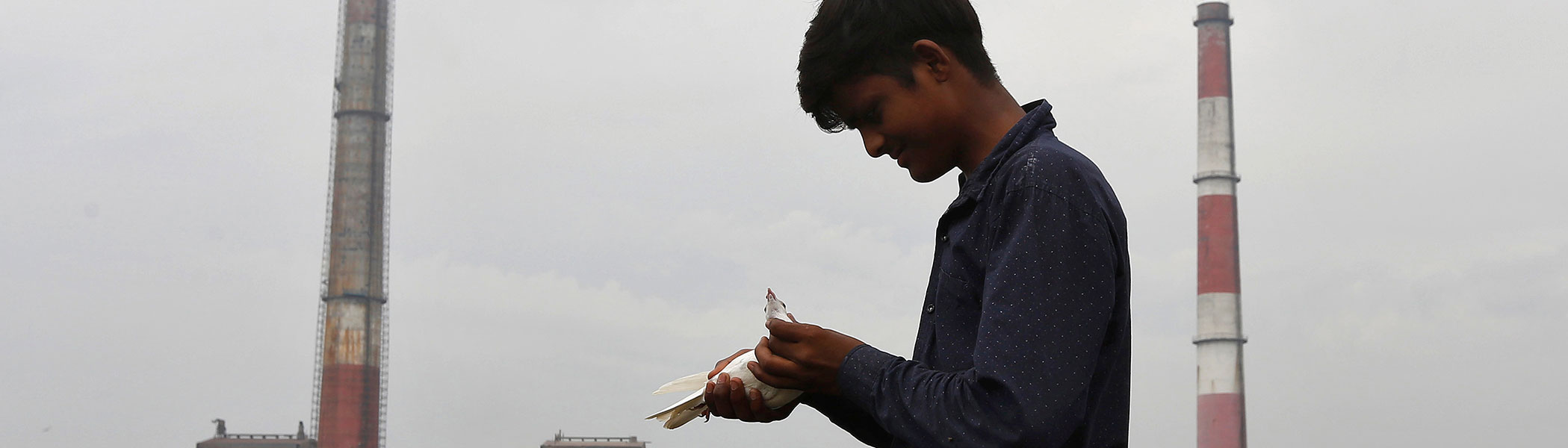 A Greener Future Begins with a Shift to Coal Alternatives