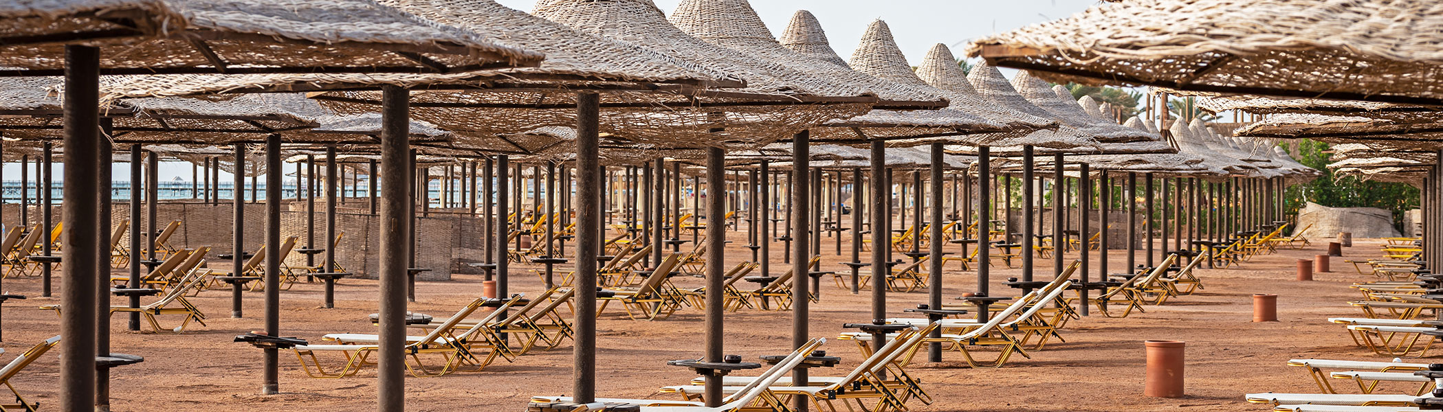 Tourism Trauma and COVID-19