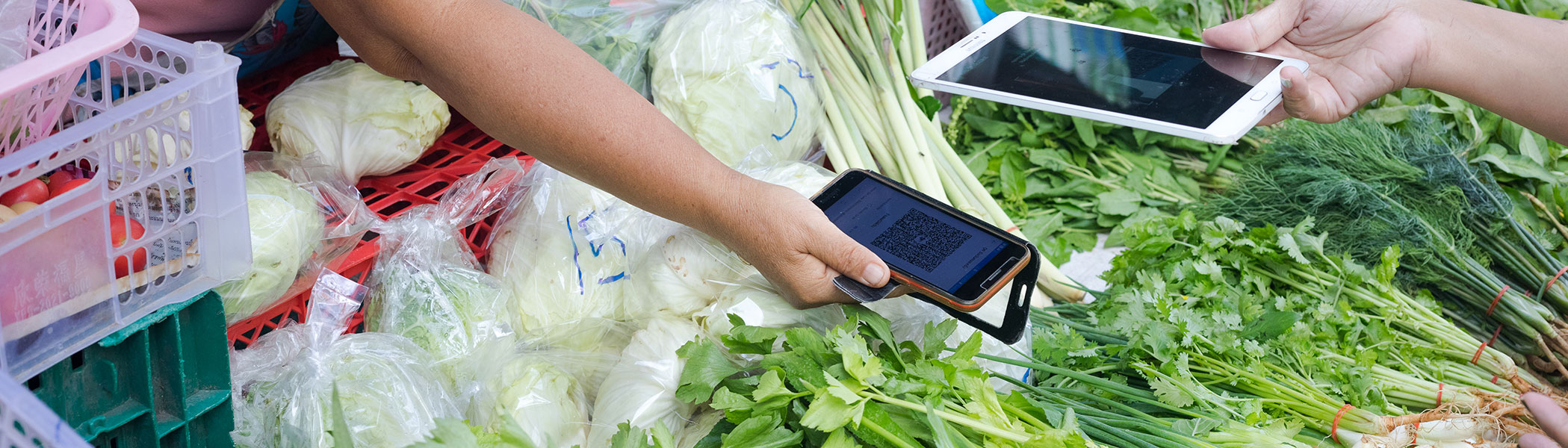 Making The Digital Money Revolution Work for All