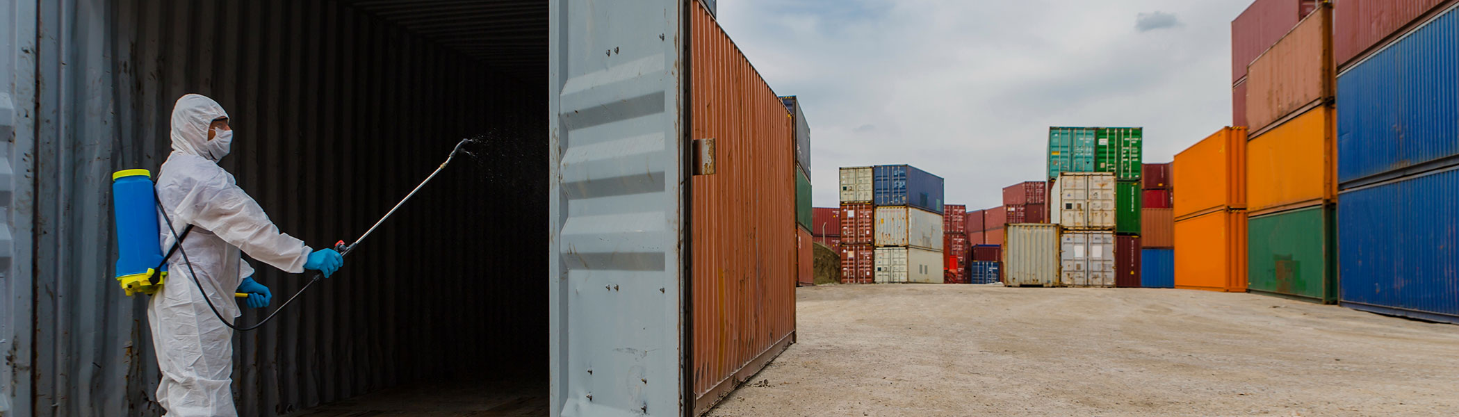 Global Imbalances and the COVID-19 Crisis