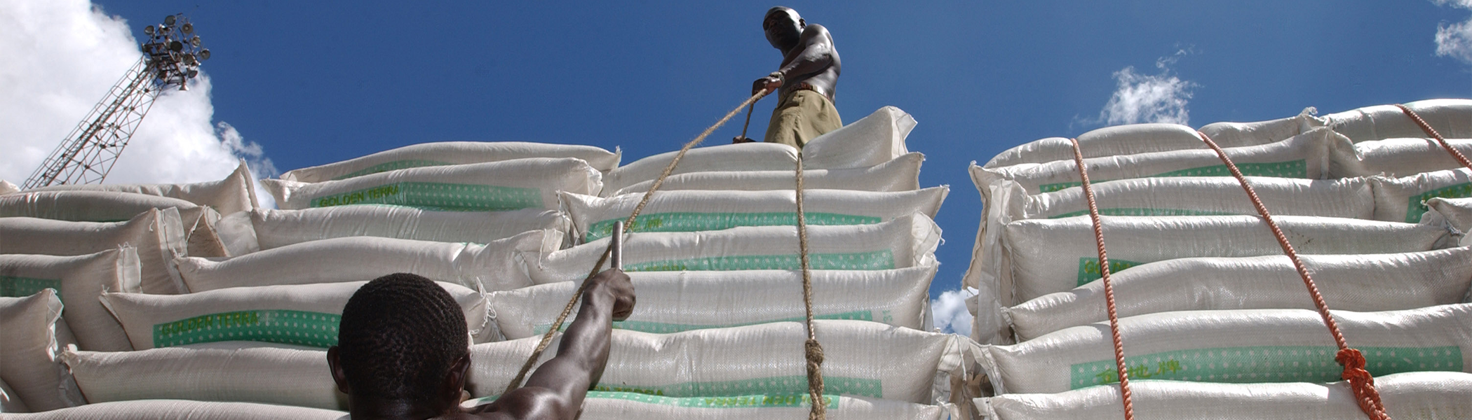 Response to High Food, Energy Prices Should Focus on Most Vulnerable