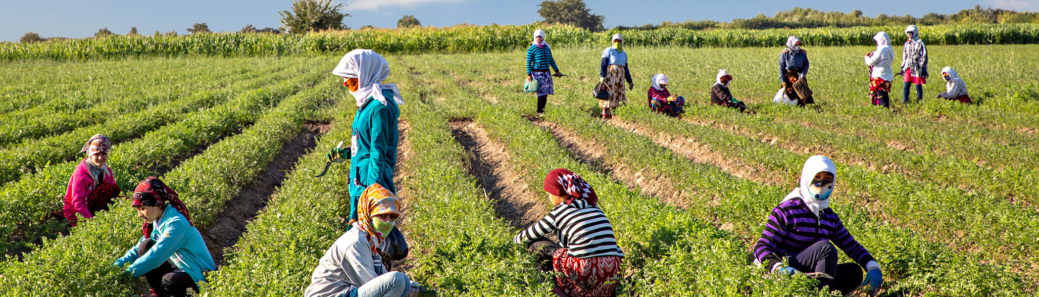Gender Budgeting Is More Widespread But Implementation Remains a Challenge