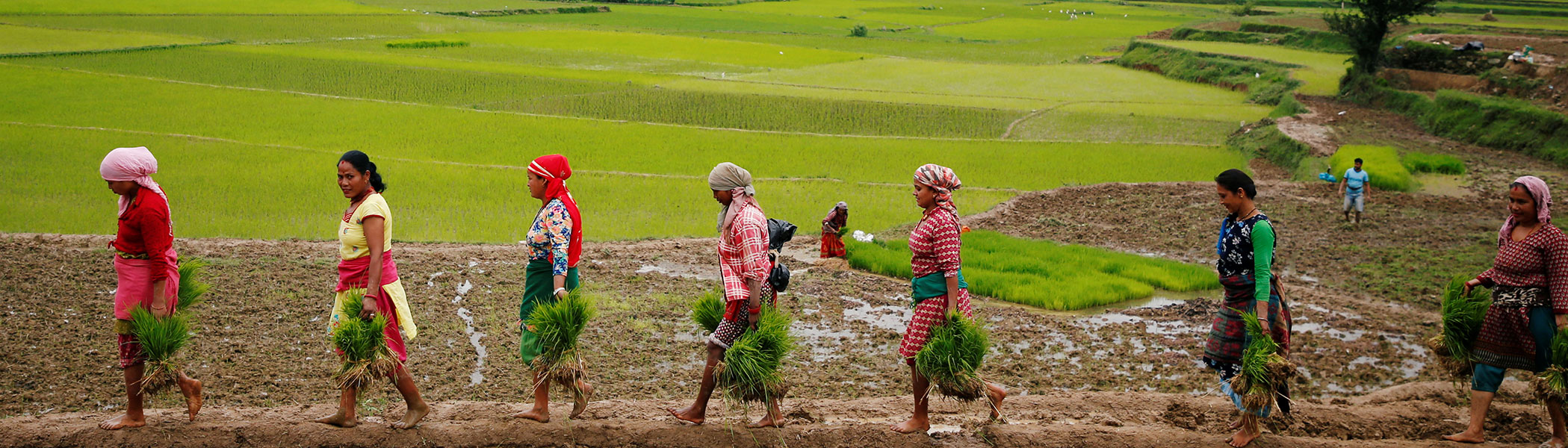 Fiscal Policies For Women’s Economic Empowerment