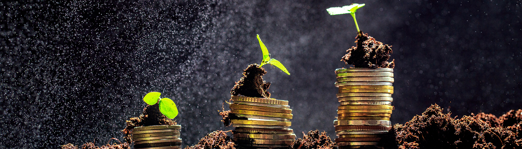 كيف يمكن لصناديق الاستثمار أن تدفع التحول الأخضر