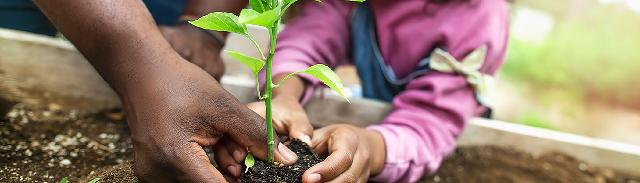 Sharing the Recovery: SDR Channeling and a New Trust