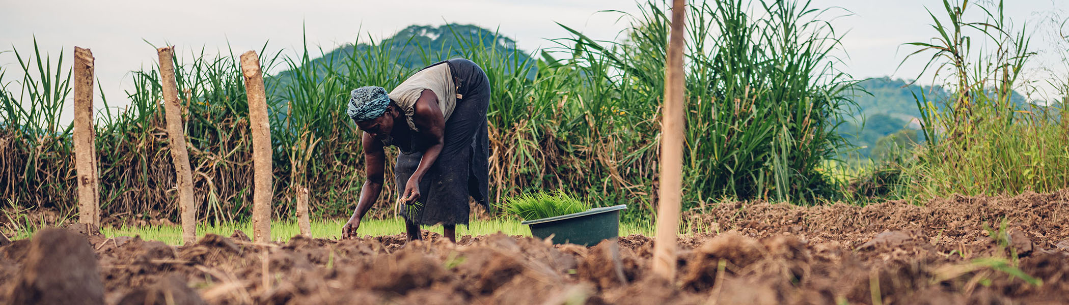 Mission Impossible? Can Fragile States Increase Tax Revenues?