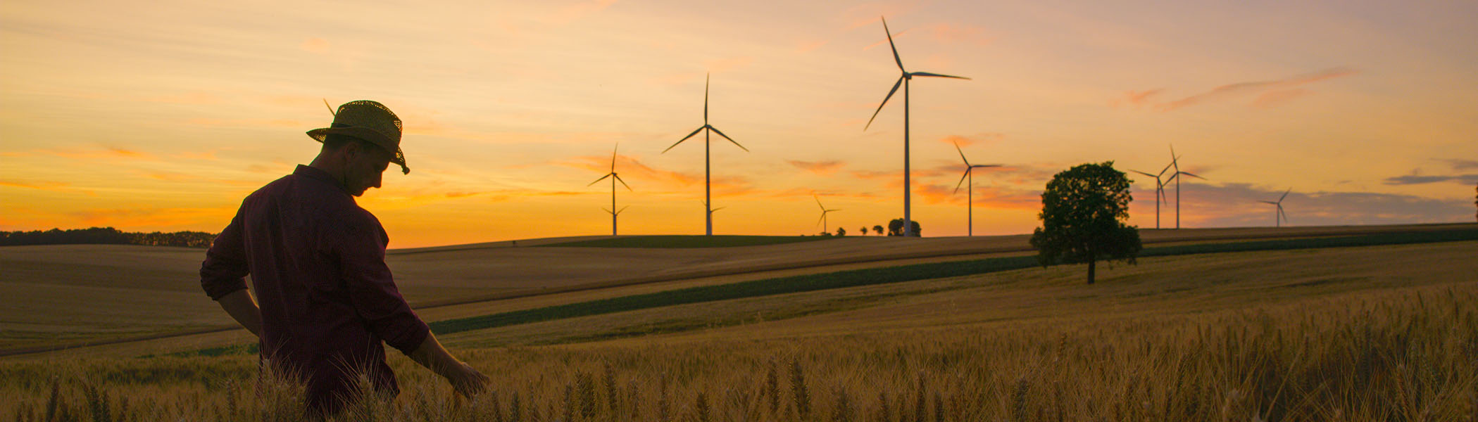 How Strengthening Standards for Data and Disclosure Can Make for a Greener Future