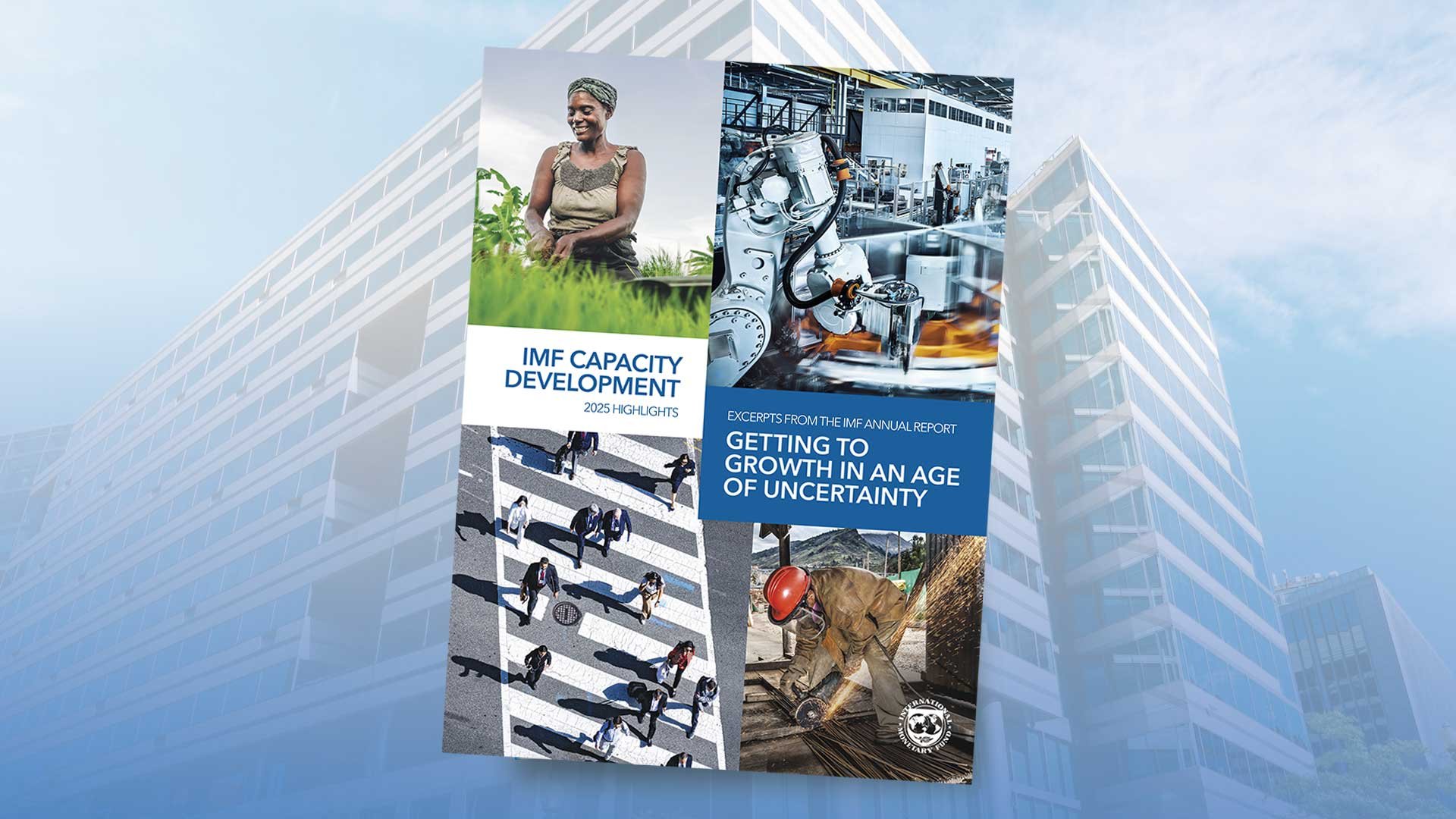 IMF Capacity Development 2025 Highlights