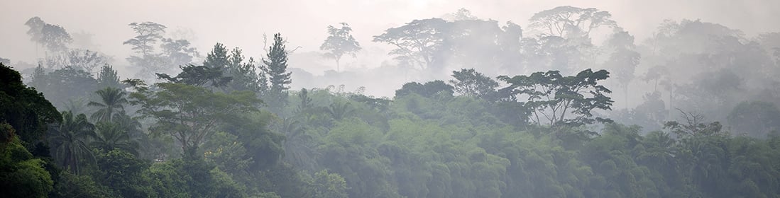 Sangha River, Central African Republic