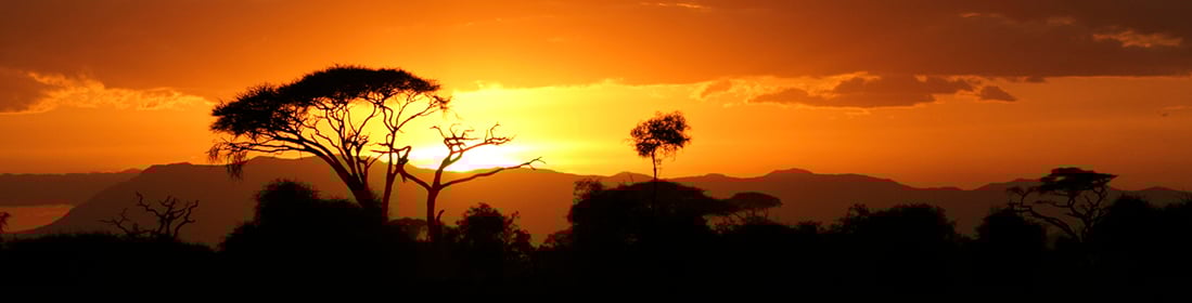IMF Office in Kenya - Sahavanna sunset