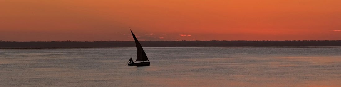 Ajustamento Orçamental e Diversificação Económica Perspectivas Económicas Regionais: África Subsariana, Ari Aisen