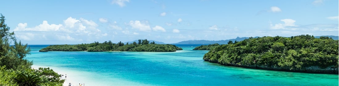 High-Level Pacific Islands Dialogue