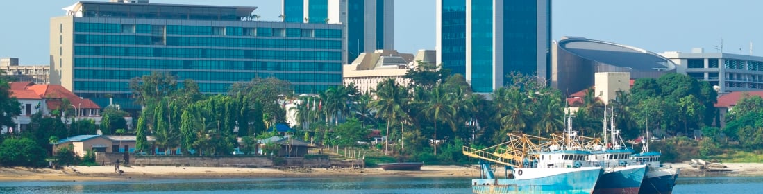 City view of Dar Es Salaam (photo: iStock)