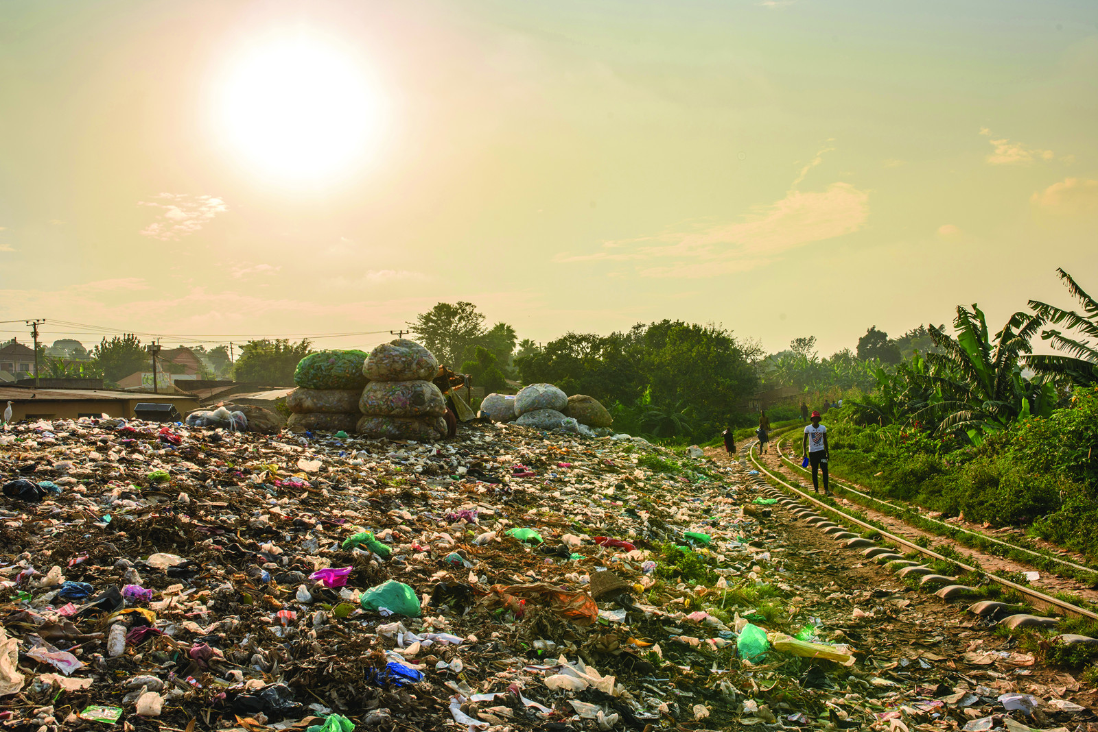 Katooke swamp, where people illegally dump waste