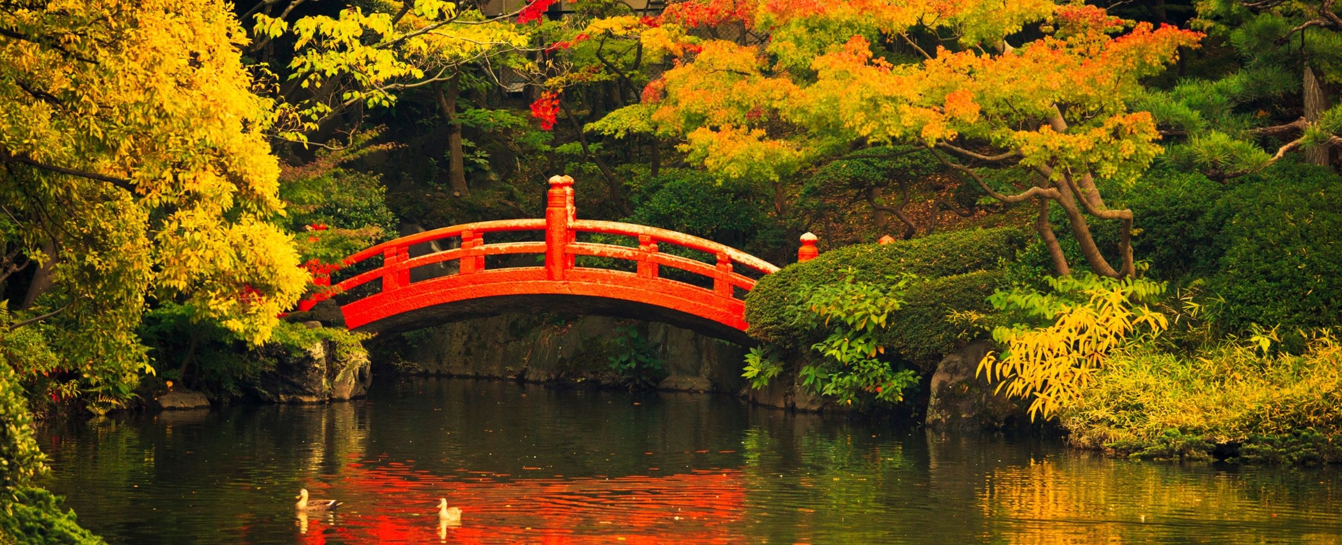 book-review-Managing-Upheavals-hero