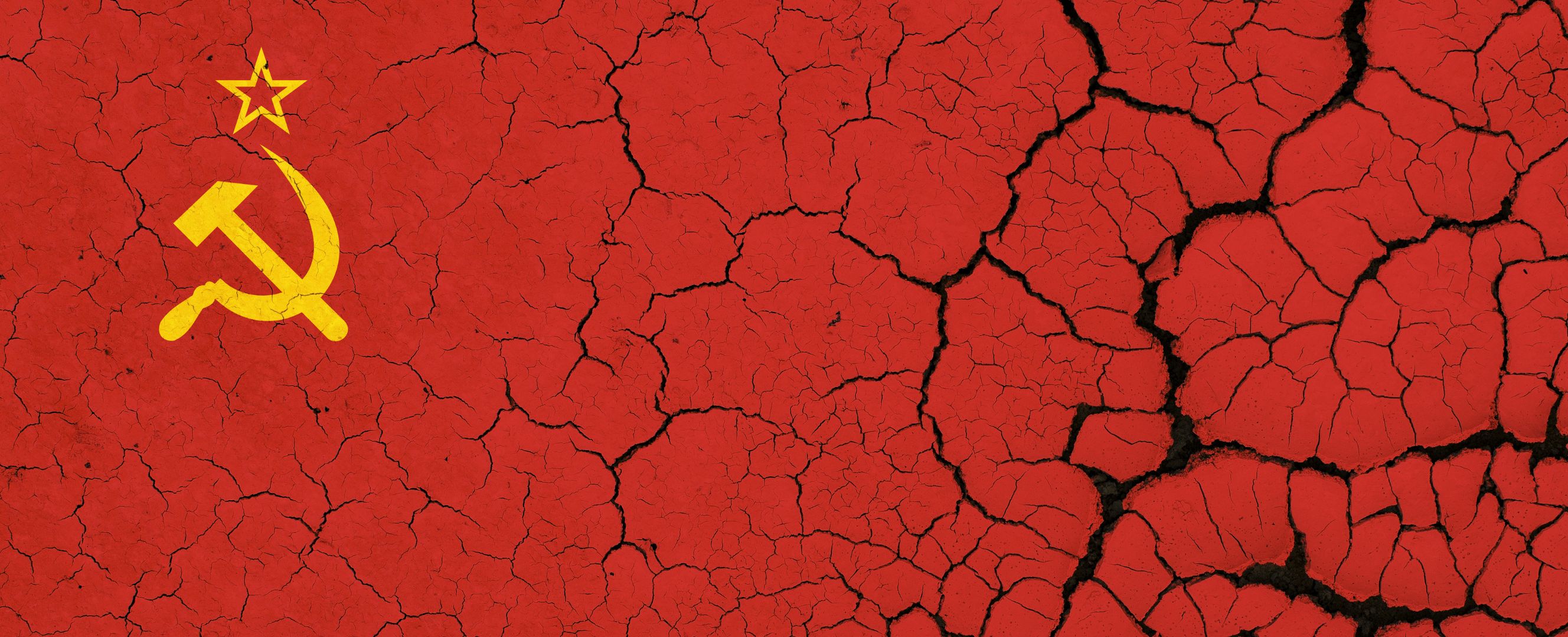 Adobe Stock: oxinoxi